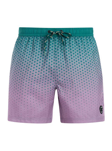 Protest " PRTNorthaw in Dark teal