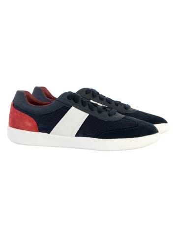 Geox Leder-Sneaker „U Rieti Mesh“ Blau