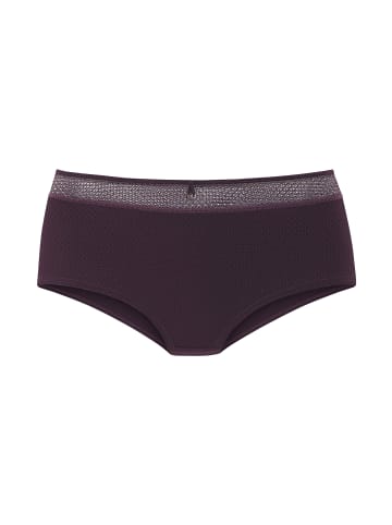 nuance Panty in aubergine