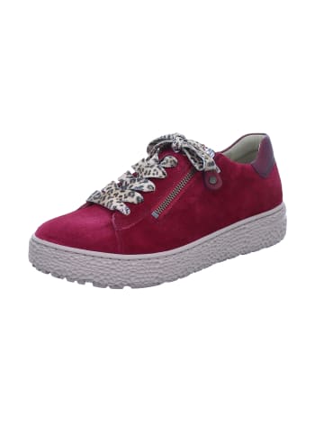 Hartjes Schnürschuh in rot
