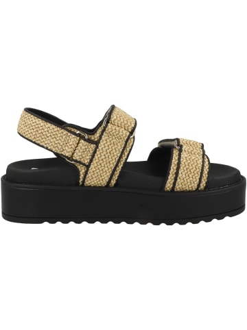 Steve Madden Sandale Bigmona in schwarz