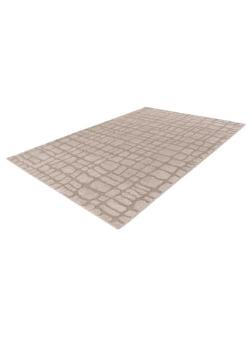 Teppich Boss Kurzflor Teppich Alwin 125 Beige - Beige