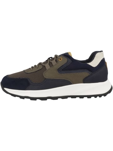 Geox Sneaker low U Terrestre B in dunkelblau