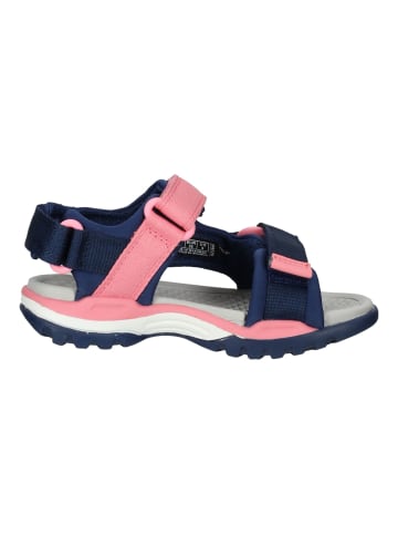 Geox Sandalen in Navy/Pink