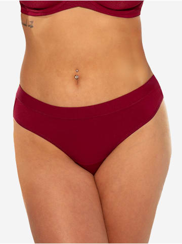 SugarShape String BASIC in bordeaux