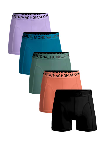 Muchachomalo 5er-Set: Boxershorts in Black/Pink/Green/Blue/Purple