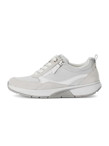 rollingsoft Sneaker low in grau