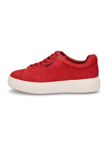 Tamaris Sneaker in Rot