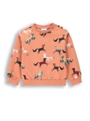 Coccodrillo Sweatshirt in gedämpftes Rosa
