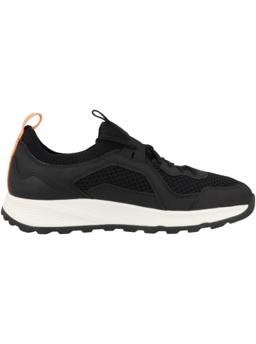 Geox Sneaker low U Terrestre A in schwarz