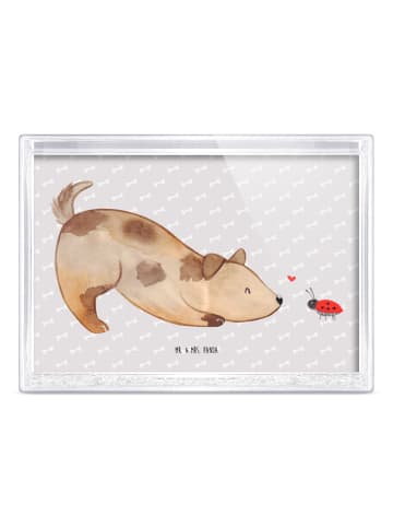 Mr. & Mrs. Panda Mini-Bilderrahmen Hund Marienkäfer ohne Spruch in Grau Pastell