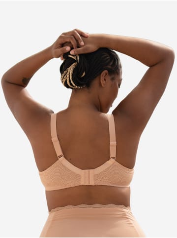 SugarShape BH LACE in cappuccino