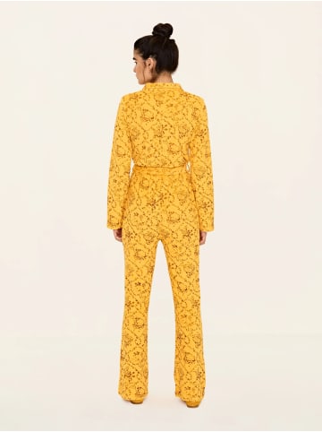 Odd Molly Shirt My Softest in YELLOW WONDER