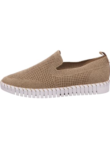 La Strada Slipper in gold