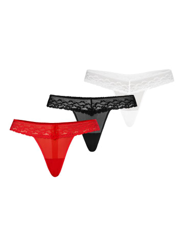 Teyli 3er Pack: Mesh Tanga mit floraler Spitze Leo in mehrfarbig