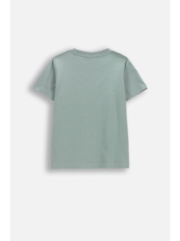 Coccodrillo T-Shirt mit kurzen Ärmeln in grün