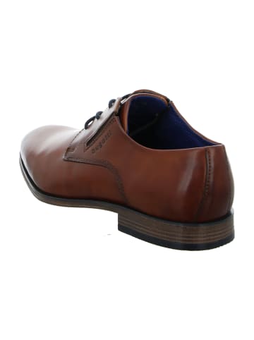 Bugatti Business Schnürschuhe in Braun