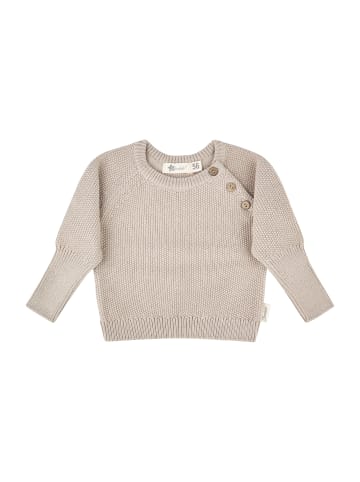 Sterntaler Strickpullover in sand