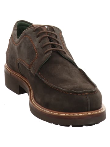 Galizio Torresi Schnürschuhe in braun