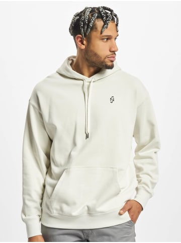 Puma Puma Puma NJR Hoodie in grey