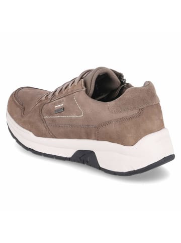 Josef Seibel Schnürhalbschuh in taupe