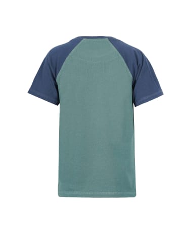 Band of Rascals T-Shirt " Raglan " in sage-blue