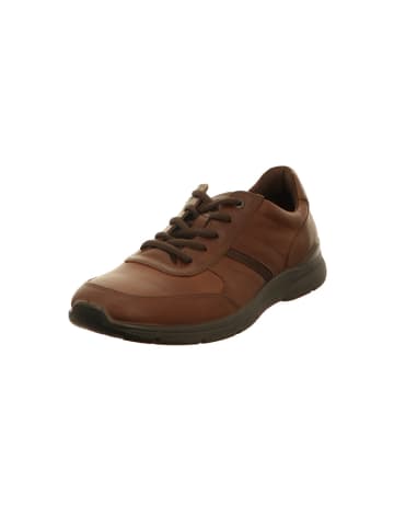 Ecco Freizeit Schnürer für Herren in braun