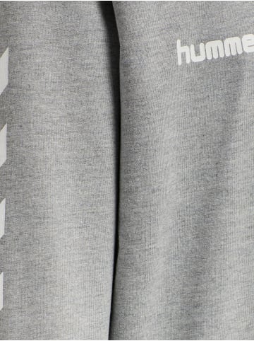 Hummel Hummel Cotton Kapuzenpullover Hmlgo Multisport Kinder in GREY MELANGE