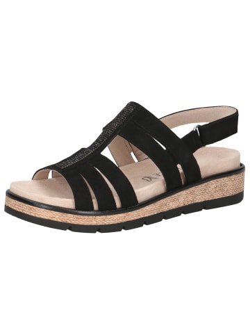 Caprice Sandale in BLACK SUEDE