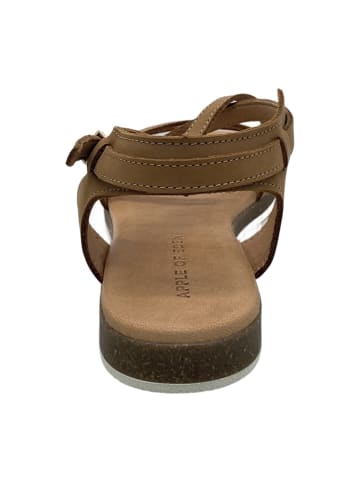 Apple of Eden Riemchensandaletten in Braun