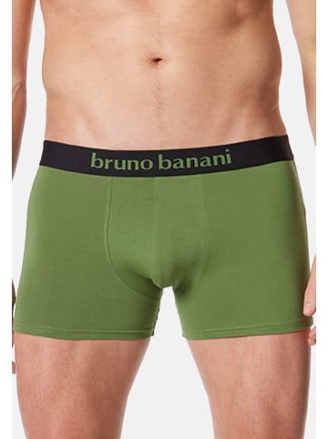 Bruno Banani Retro Short / Pant Flowing in Dillgrün / Schwarz