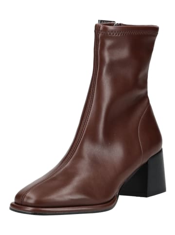 Steve Madden Stiefelette in Wine
