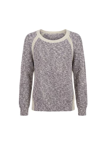 Trussardi Jeans Grau Baumwolle Damen Pullover