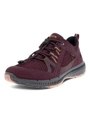 Ecco Outdoorschuh in bordeaux