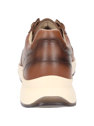 Sioux Sneaker Kavikano-700 in cognac