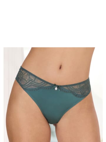 nuance Tanga in tannengrün