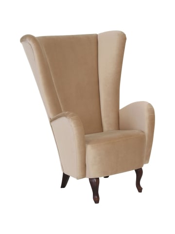 58 aufm Kessel HOCHLEHNSESSEL Kailey Bezug Samtvelours Buche nussbaum dunkel / sand