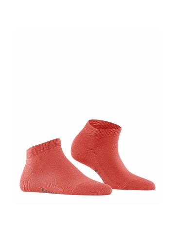 Falke Socken 1er Pack in Orange