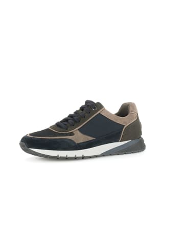 Pius Gabor Sneaker low in blau