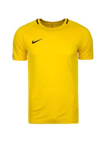Nike Performance Trainingsshirt Academy 18 in gelb / schwarz