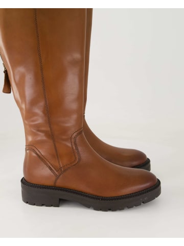 Terry Klassische Stiefel in Braun