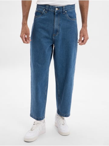 Santa Cruz Jeans Big Pants in medium stone
