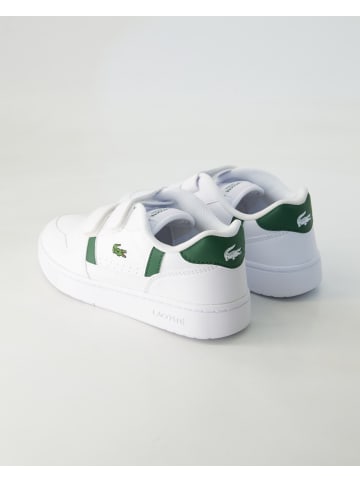 Lacoste Klettschuhe in Weiß
