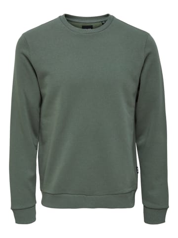 Only&Sons Sweatshirt ONSCERES in Grün