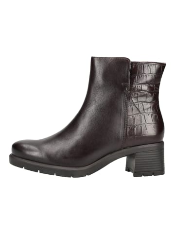 ara Stiefelette PRAG ST PRAG ST in Cacao