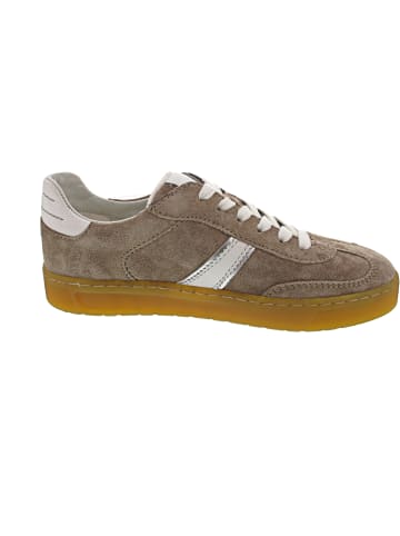 Sioux Tedroso Sneaker low Beige