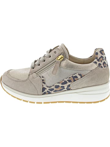 Gabor Comfort Sneaker Beige