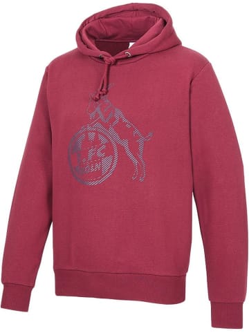 Fußballverein 1. FC Köln Pullover "Hoodie Stachelsweg" in Rot