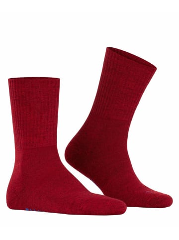 Falke Socken 2er Pack in Rot