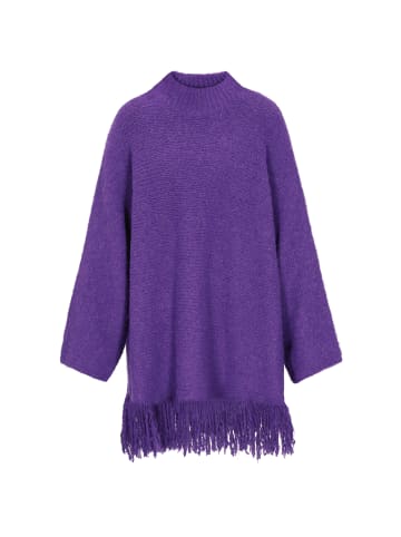 IZIA Women Sweater in violet